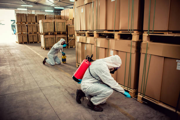 Best Local Pest Control Services  in Laurel Hill, VA