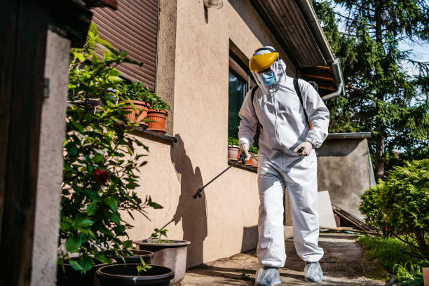 Best Rat Extermination Near Me  in Laurel Hill, VA