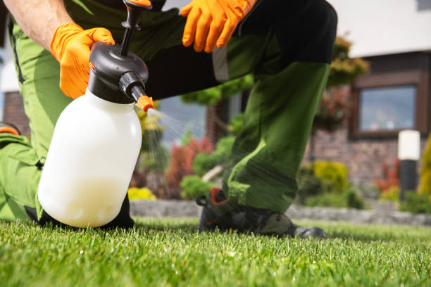 Pest Prevention Services in Laurel Hill, VA