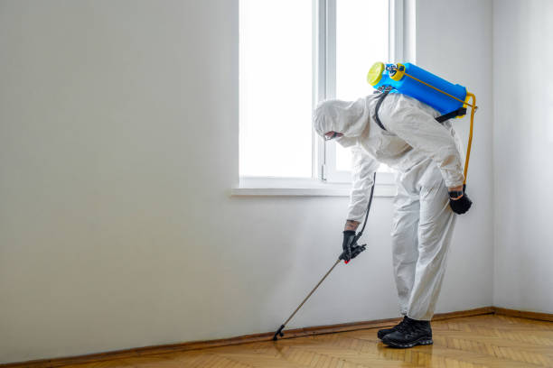 Best Pest Control for Businesses  in Laurel Hill, VA