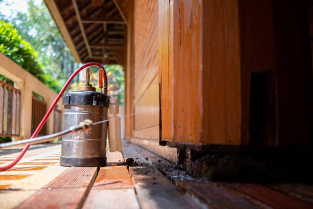 Best Mosquito Control Services  in Laurel Hill, VA